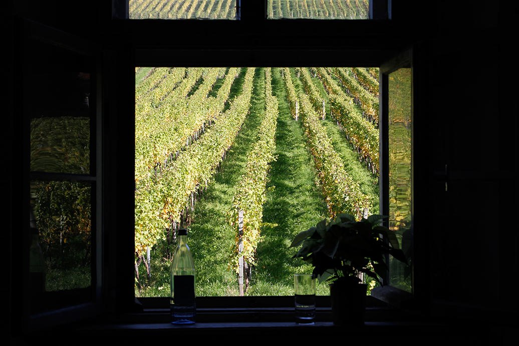 fenster_mit_ausblick_evinum_hoerstein