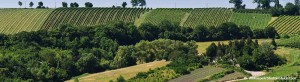 events_evinum_weinberge_wanderung2