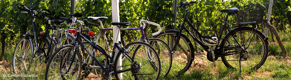 events_evinum_fahrradtour5