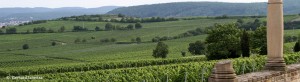 events_evinum_ungsteiner_sommer