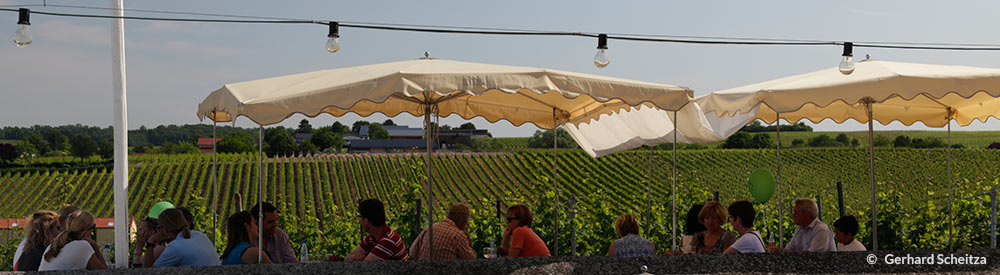 events_evinum_weinfest2