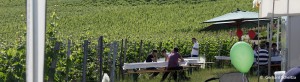 events_evinum_weinfest3