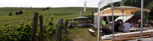events_evinum_weinfest4
